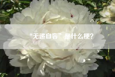 “无递自容”是什么梗？