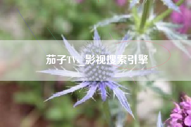 茄子TVs_影视搜索引擎