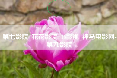 第七影院_花花影院_16影视_神马电影网-第九影院