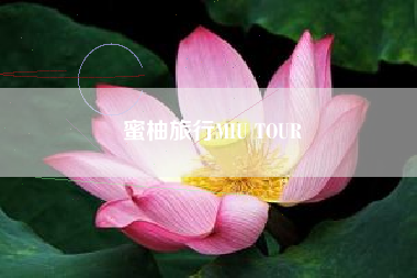 蜜柚旅行MIU TOUR