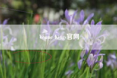 Venue Kings官网