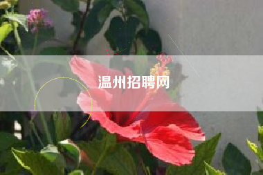 温州招聘网