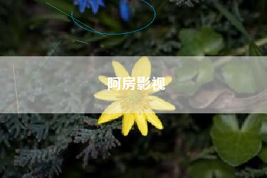 阿房影视