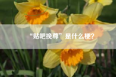 “贴吧挽尊”是什么梗？