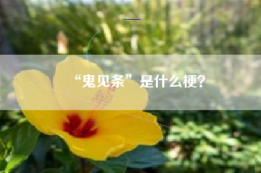 “鬼见条”是什么梗？