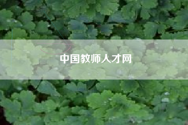 中国教师人才网