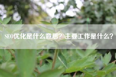 SEO优化是什么意思？主要工作是什么？