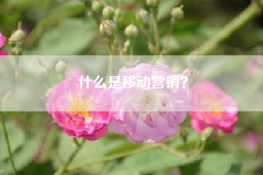 什么是移动营销？