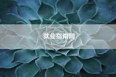 就业指南网