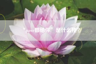 “pawr都给你”是什么梗？