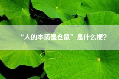 “人的本质是仓鼠”是什么梗？