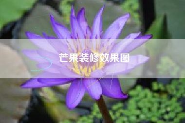 芒果装修效果图