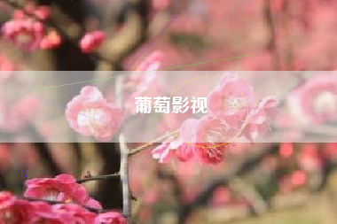 葡萄影视