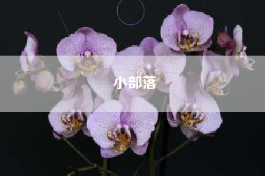 小部落