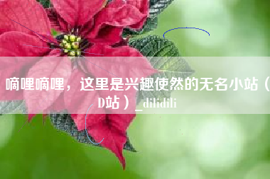 嘀哩嘀哩，这里是兴趣使然的无名小站（D站）_dilidili