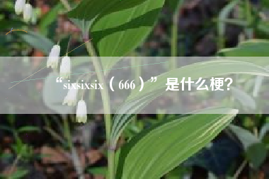 “sixsixsix（666）”是什么梗？