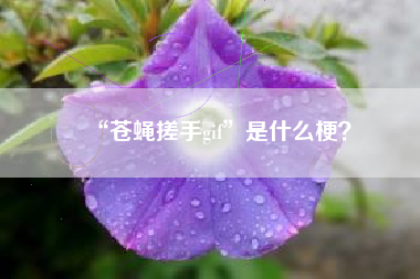 “苍蝇搓手gif”是什么梗？