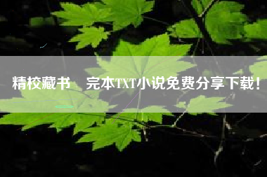 精校藏书–完本TXT小说免费分享下载！