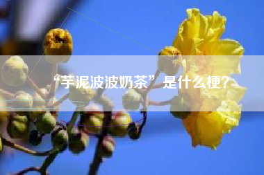 “芋泥波波奶茶”是什么梗？