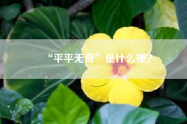 “平平无奇”是什么梗？