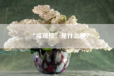 “福瑞控”是什么梗？