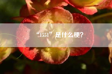 “1551”是什么梗？