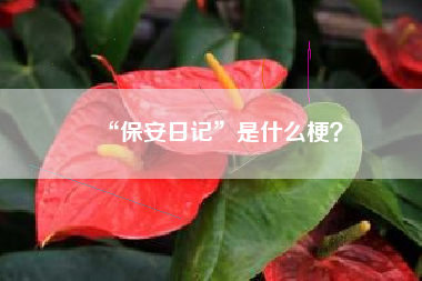 “保安日记”是什么梗？