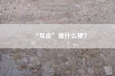 “瓜皮”是什么梗？