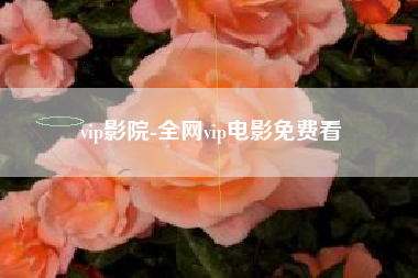 vip影院-全网vip电影免费看