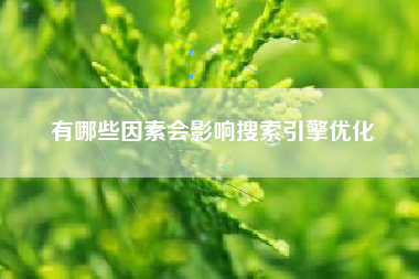 有哪些因素会影响搜索引擎优化