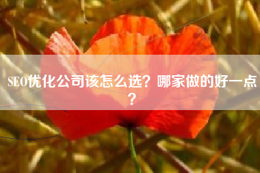 SEO优化公司该怎么选？哪家做的好一点？