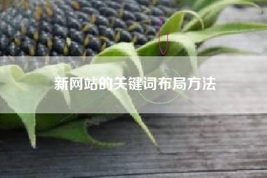 新网站的关键词布局方法