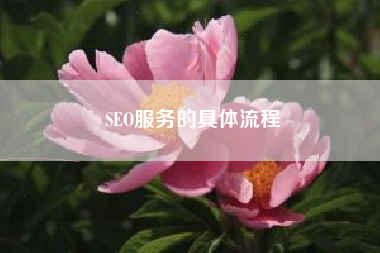 SEO服务的具体流程