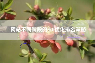 网站不同阶段的SEO优化排名策略