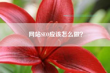 网站SEO应该怎么做？