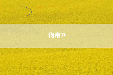 狗带TV