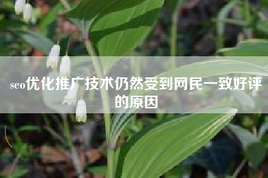 seo优化推广技术仍然受到网民一致好评的原因