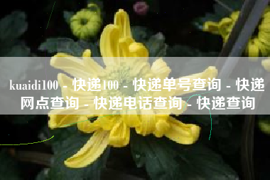 kuaidi100 - 快递100 - 快递单号查询 - 快递网点查询 - 快递电话查询 - 快递查询