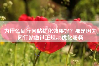 为什么同行网站优化效果好？那是因为同行站做过正规seo优化服务