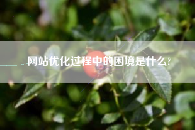 网站优化过程中的困境是什么?