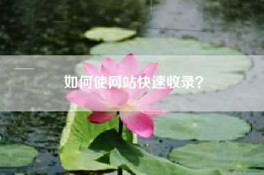 如何使网站快速收录？