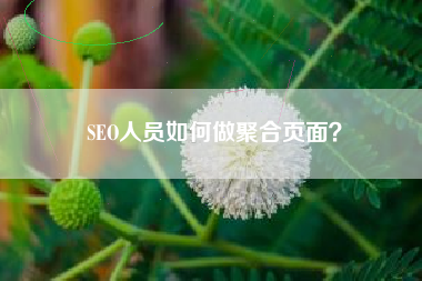 SEO人员如何做聚合页面？