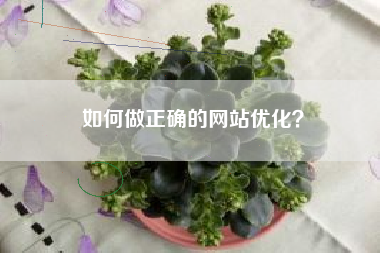 如何做正确的网站优化？