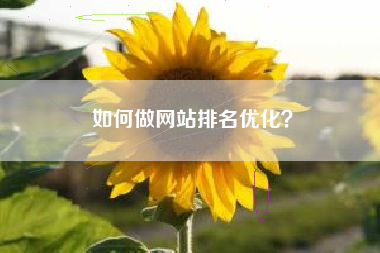 如何做网站排名优化？