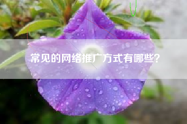 常见的网络推广方式有哪些？