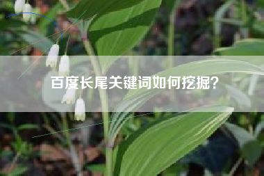 百度长尾关键词如何挖掘？