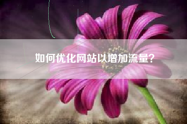 如何优化网站以增加流量？