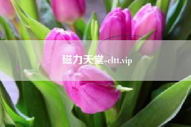 磁力天堂-cltt.vip