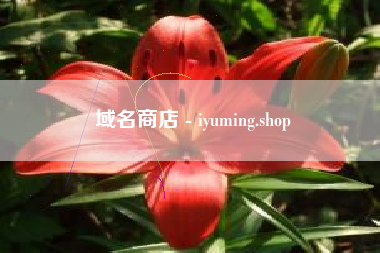 域名商店 - iyuming.shop