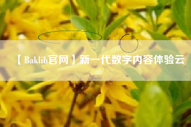 【Baklib官网】新一代数字内容体验云